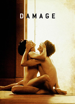 烈火情人Damage1992UKBluRay1280x696px264AC3KOOK中英双字